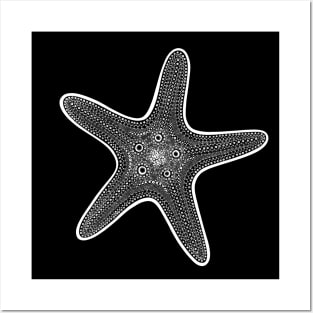 Starfish or Sea Star Ink drawing - ocean animal design - black and white Posters and Art